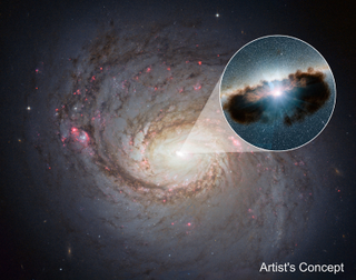 Illustration for article titled We Finally Know What’s Inside These Mysterious Black Hole Clouds